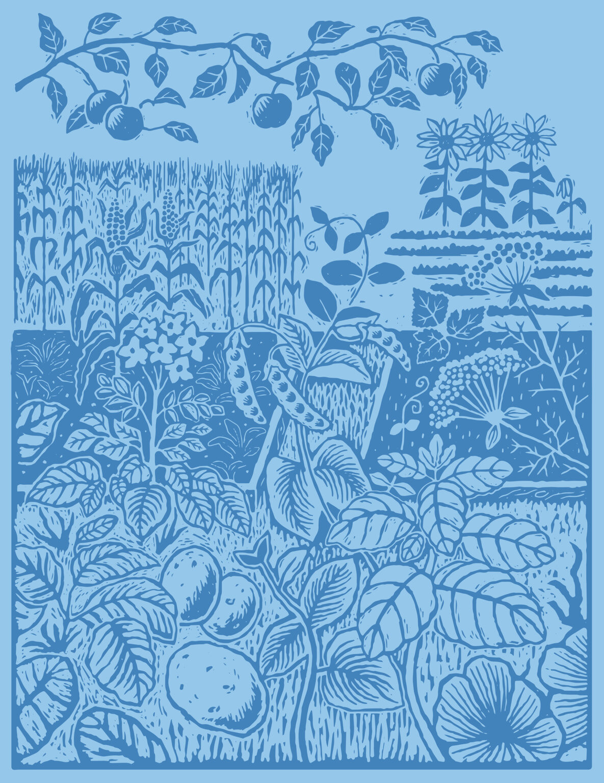 Illustration förpackning föreställande en trädgård med potatis och kryddväxter. Utförd av Tomas Lindell.