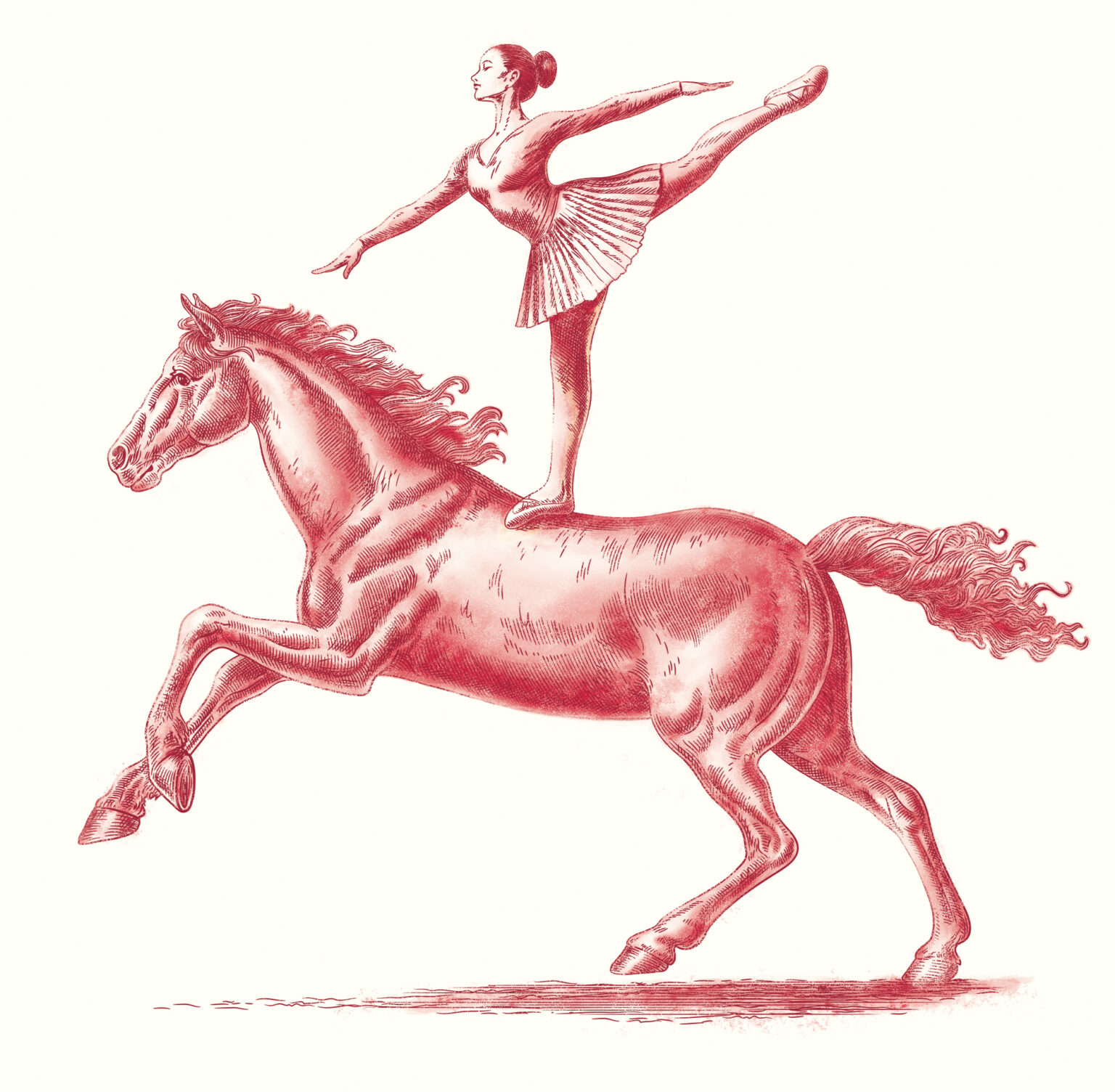 Illustration föreställande en ballerina på en häst. För ett rött vin från South Australia. Utförd av Tomas Lindell.